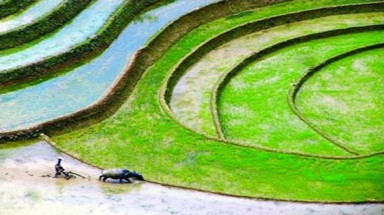  Thẩm tra dự thảo Luật Bảo vệ môi trường (sửa đổi) 