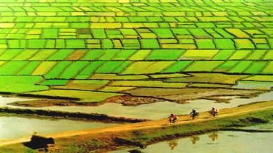  Đắk Lắk: Còn nhiều bất cập trong việc cấp Giấy chứng nhận quyền sử dụng đất 