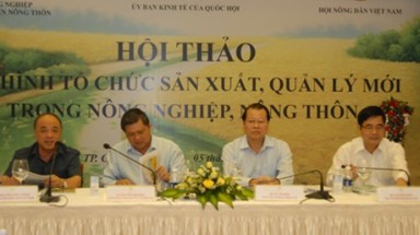  Tìm cách tổ chức sản xuất lại nông nghiệp