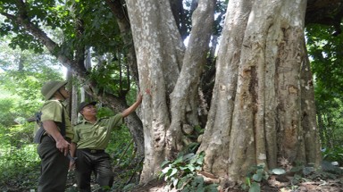  Đắk Lắk :Thủy điện “chọc vào tim” vườn quốc gia