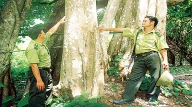 Ông Trần Văn Thành: “Nếu làm thủy điện Đrang Phốk, tôi sẽ từ chức!” 