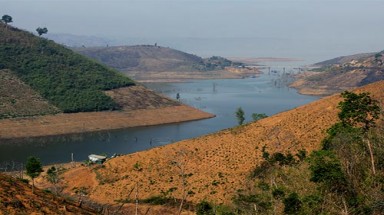  Thủy điện “tàn sát” gần 50.000 ha rừng