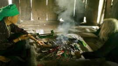 Sản xuất thực phẩm chức năng từ một loài tảo suối ở Cao Bằng 