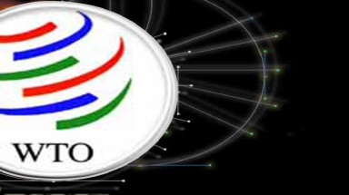 Tân Tổng Giám đốc WTO chính thức nhậm chức 
