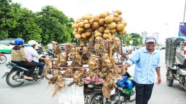 Gốc tre nghệ thuật vỉa hè hút khách Hà Nội