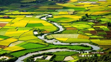 Cánh đồng lúa Bắc Sơn lộng lẫy trên báo nước ngoài