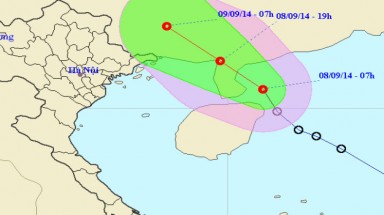   Chủ động ứng phó áp thấp nhiệt đới