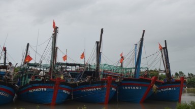  Bình Định thông tin cho các tàu thuyền chủ động tìm nơi ẩn trú 
