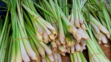  Cây sả: Chống ung thư, giải độc