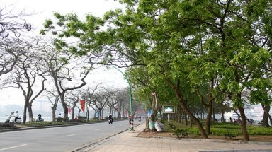  Hà Nội tăng tỷ lệ cây xanh lên 10-12m2/người