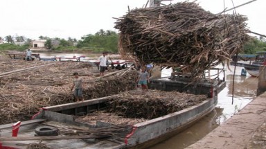  Cà Mau: Nhiều doanh nghiệp gây ô nhiễm môi trường nghiêm trọng chây ỳ khắc phục