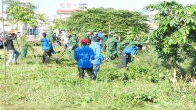  Diệt cây mai dương, bảo vệ môi trường sinh thái
