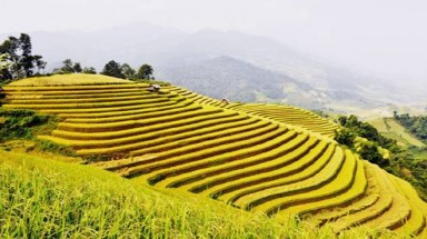  10 điều nên thử khi đi du lịch Sa Pa