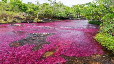  Dòng sông nhiều màu sắc