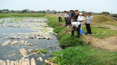  Chậm xử lý và phục hồi môi trường do tồn dư hoá chất bảo vệ thực vật tại Nghĩa Lộ - Yên Bái