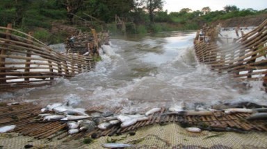 Việt Nam không ngăn chặn Lào xây dựng đập Don Sahong