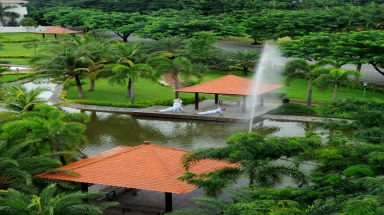  Đưa không gian xanh vào môi trường sống