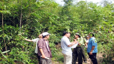  Hậu Giang cơ bản hoàn thành cấp giấy chứng nhận quyền sử dụng đất