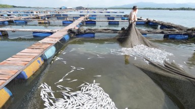   “Ô nhiễm”… trách nhiệm?!