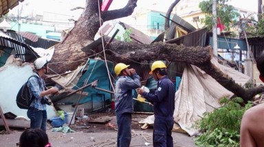   Cây xanh cao 20 m đè sập 2 căn nhà giữa Sài Gòn
