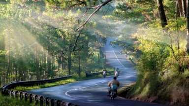  Nhận diện vị trí của rừng trong vòng xoáy “Phát triển bền vững + tăng trưởng xanh”