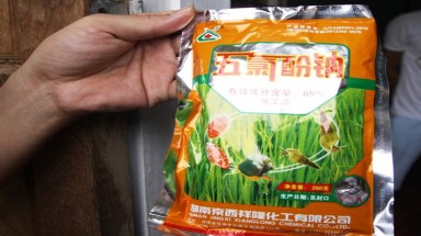  Quảng Trị: Thương lái Trung Quốc dạy cách "tận diệt" giun đất