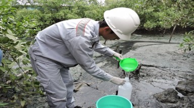   Vụ cá chết trắng sông ở Bà Rịa – Vũng Tàu: Thanh tra các nhà máy chế biến hải sản