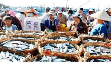   Hội nghề cá đề nghị công bố bản đồ cấm khai thác cá 