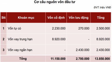  Tập đoàn Hoa Sen lấy tiền đâu xây dự án tỷ đô?