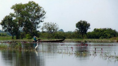  Ngây ngất mùa hoa súng miền Tây