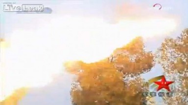  Trung Quốc “tử hình” ong bắp cày đã đốt chết 40 người