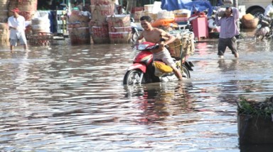  TP HCM: Chợ nông sản Thủ Đức bì bõm trong triều cường