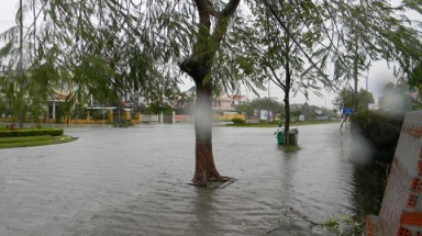  Quảng Nam:Chủ doanh nghiệp lên tiếng vụ "quan" ăn nhậu trong bão lũ