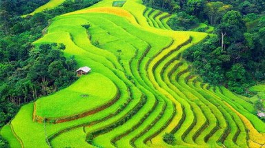  Gia Lai còn hơn 122.000 ha đất chưa được cấp Giấy chứng nhận quyền sử dụng