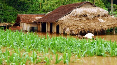 Ngân hàng thế giới cam kết hỗ trợ Việt Nam trong ứng phó với biến đổi khí hậu
