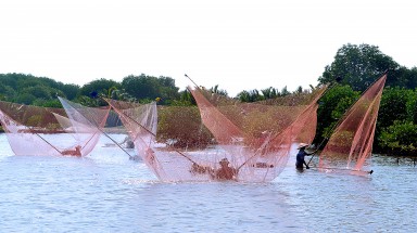  Thi ảnh nghệ thuật và viết cảm nhận về đồng bằng sông Cửu Long