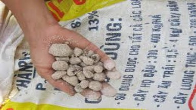  Loạn phân bón kém chất lượng