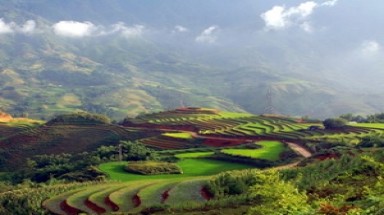  Sau 20 năm, nhiệt độ ở Sa Pa tụt xuống mức 8 độ C