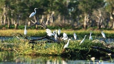  Mối quan hệ giữa các quần thể sinh vật?