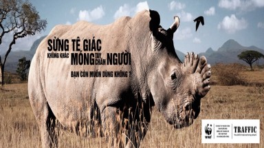  Thông tin về “Người tiêu dùng Tê giác, họ là ai?” là chưa chính xác,thiếu khách quan