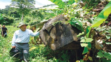  Thuỷ điện Đồng Nai 6 và 6A bị loại khỏi quy hoạch:Tín hiệu tốt để những cái đúng dám lên tiếng