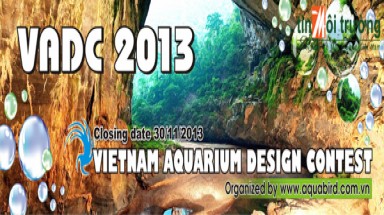  Cuộc thi thủy sinh VADC 2013