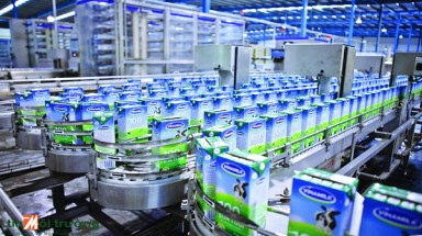  Từ năm 2008 đến 2012, tốc độ tăng trưởng xuất khẩu của Vinamilk đạt 62%