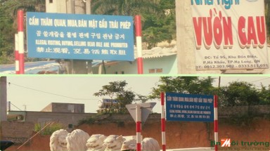  Đóng cửa hoàn toàn hoạt động du lịch trại gấu ở Quảng Ninh