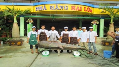  Cận cảnh "nhan sắc" những cá khủng giá chục triệu ở miền Tây