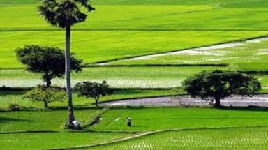   Thứ trưởng Bộ TN&MT Trần Hồng Hà: "Làm sổ đỏ rất khó khăn"