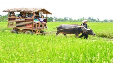  3 tour du lịch dân dã của Việt Nam ‘đốn tim’ du khách