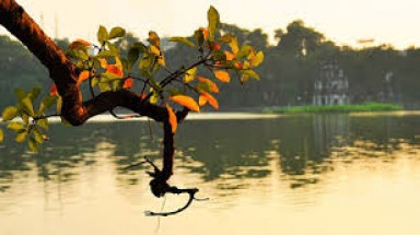  Thời tiết ngày 15/10: Bắc bộ duy trì nắng đẹp, hanh khô
