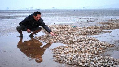  Khu vực cửa sông Hồng và hiểm họa biến đổi khí hậu