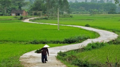  Quê hương